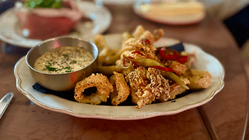 Calamari with lemon aioli. Image by Christianne Klein.