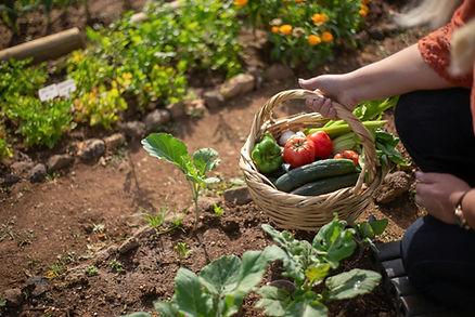 The modern farm-to-table movement is about experiences as much as local sourcing.  Image by Kampus Production.
