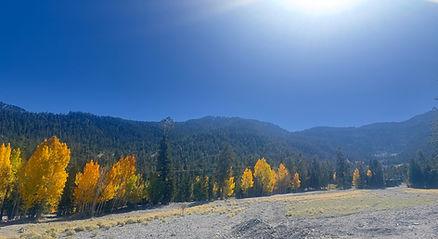 Mt. Charleston, 45 minutes from Las Vegas on 10/7/25. Image by Christianne Klein