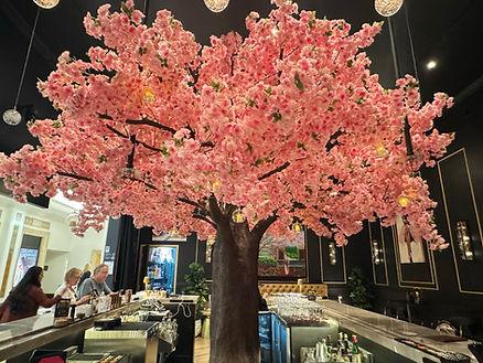 The show-stopping cherry blossom tree at Liam's Den & Bubble Bar.  Image by Christianne Klein. 