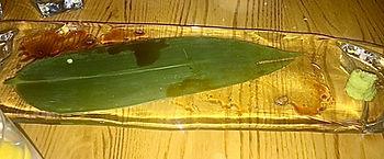 Empty plate with leaf on it after sushi