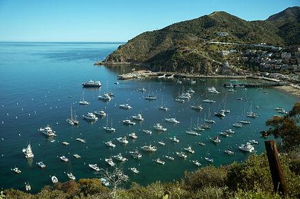 Avalon, Catalina Island. Image by Soly Moses.