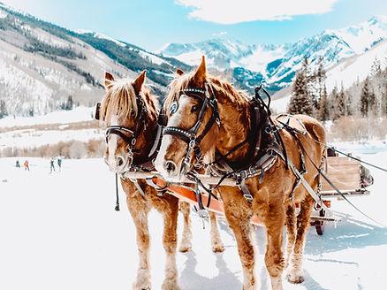 It's not just skiers who enjoy Aspen. Image by Atif Kazmi.