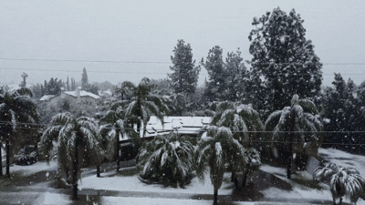 Navigate winter travel safely with our essential travel weather winter storm checklist. Video by Soly Moses.
