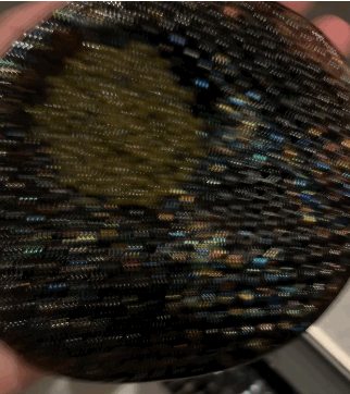 Osetra caviar presentation. Alinea, Chicago. Video by Sarah Klein.