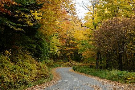 Vermont is beautiful in October. Image by CK. 