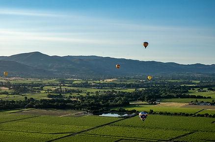 Hot air balloons in Napa. Image by Kelsey.