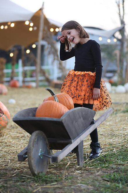 Picking the perfect pumpkin. Image by Toni Canaj.