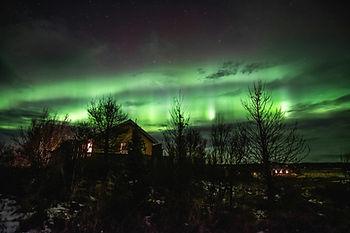 Northern Lights in Iceland. Image by Jo Kassis.