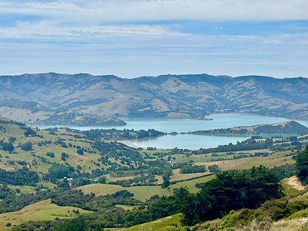 The beautiful farm country of New Zealand.  Image by Christianne Klein.