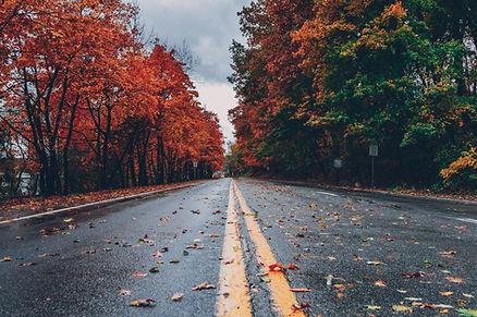It's time to enjoy the colors of fall.  Image by Craig Adderley.