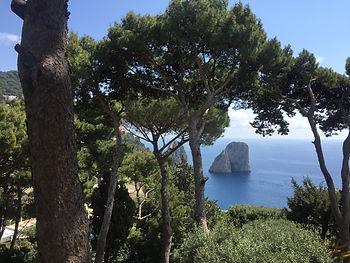 View of trees and bay in Capri