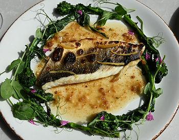 Mediterranean Sea Bass