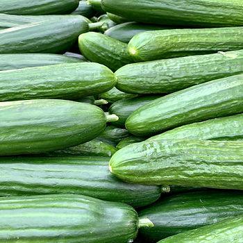 A delicious cucumber recipe on TikTok is leading to a shortage in Iceland.  Image of cucumbers by Matthias Zomer.