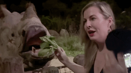 Expecting the unexpected: feeding an Indian Rhino in Singapore.  Image by Dan Sattel